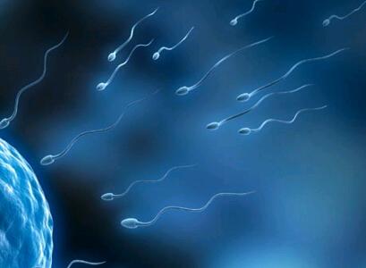 死精子症是能做试管婴儿的吗?(图1)
