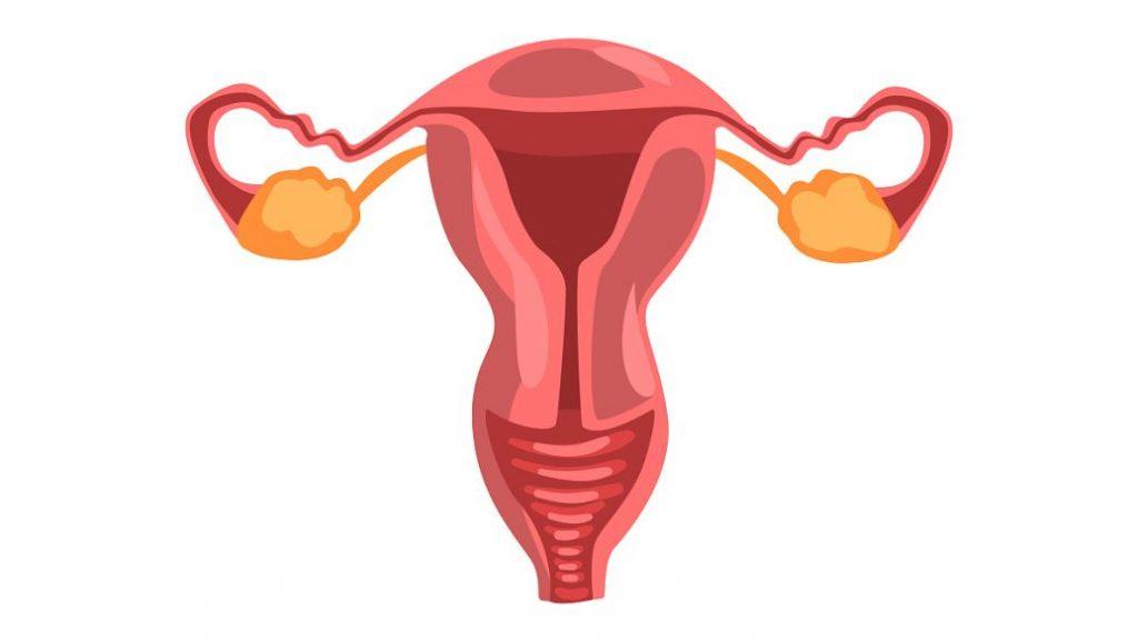 输卵管通液术，疏通后做试管婴儿几率有多大？(图1)