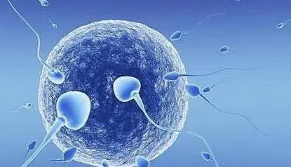 试管婴儿胚胎移植后的14天要怎么做呢？(图1)