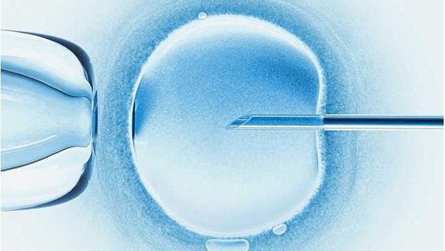 试管冷冻胚胎移植过程如何？为什么冷冻胚胎？移植前需要做什么？(图1)