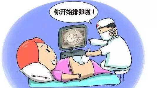 什么时候促排，促排需要多久？(图1)