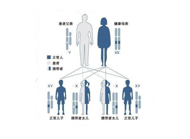 有遗传疾病的人可以借助试管婴儿技术传宗接代吗?(图1)