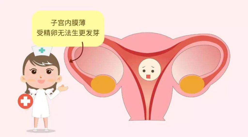 做试管婴儿发现子宫内膜薄，怎么办？(图1)