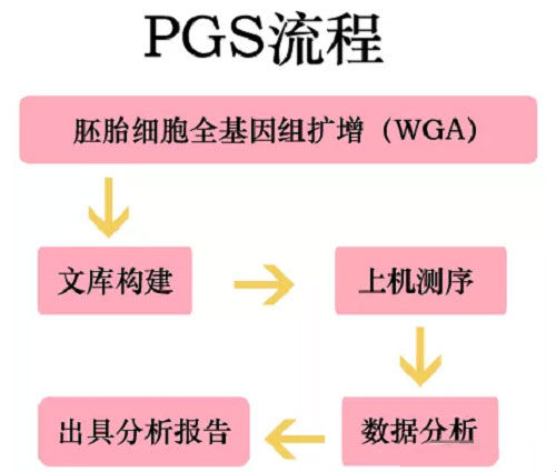 PGS流程