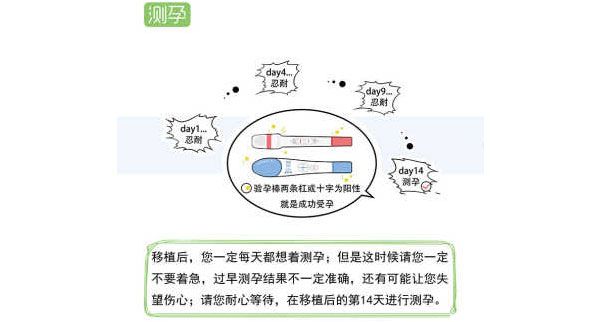 试管婴儿的流程(图10)