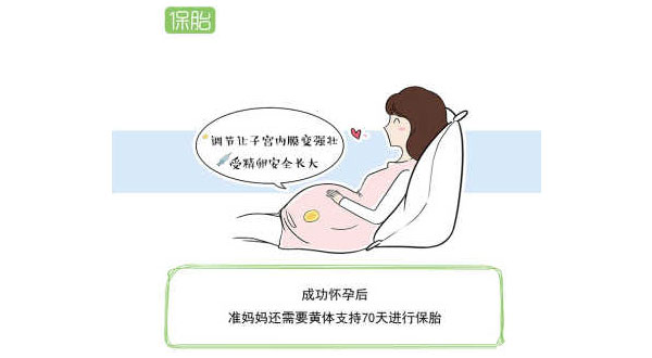 试管婴儿的流程(图11)