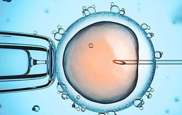 胚胎、囊胚培养非常重要