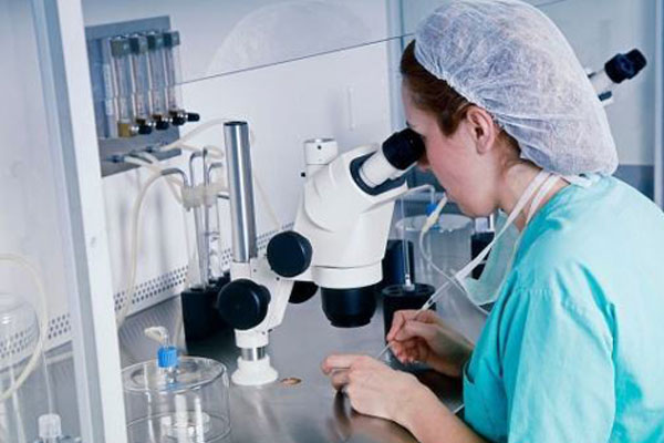 实验室胚胎培养
