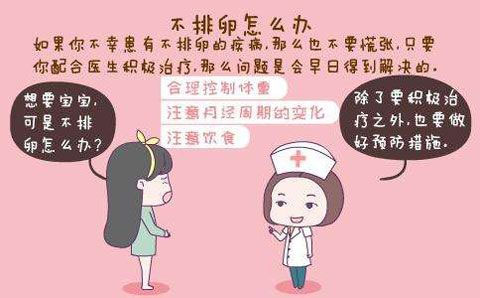 吃什么能促进排卵