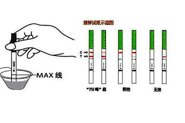 早孕试纸的正确用法，1分钟就学会