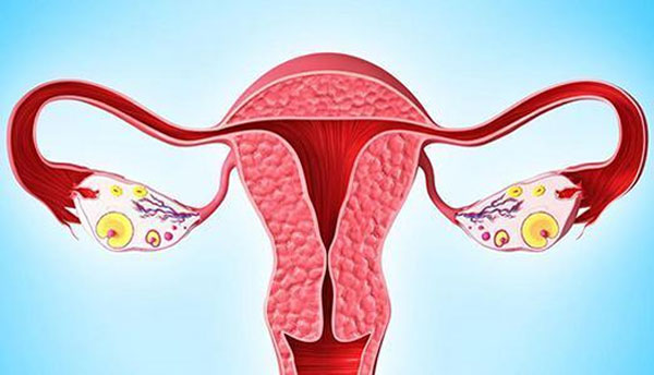 输卵管阻塞怎么治疗