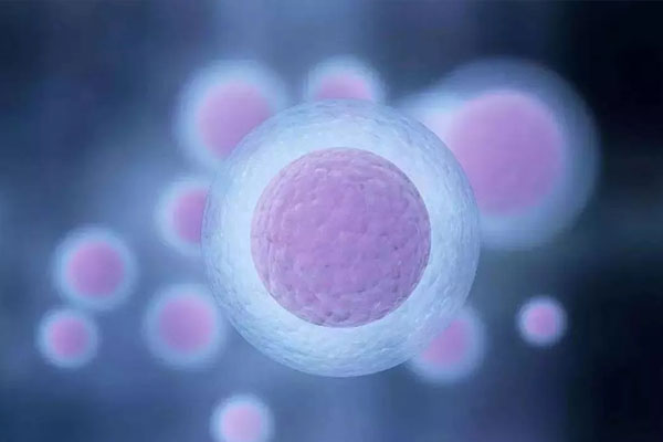 影响胚胎原因有哪些