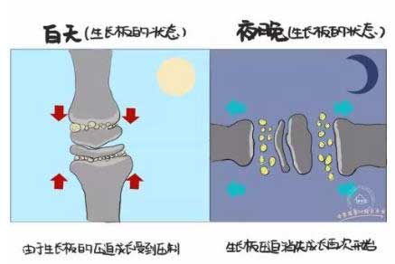 儿童骨骼发育