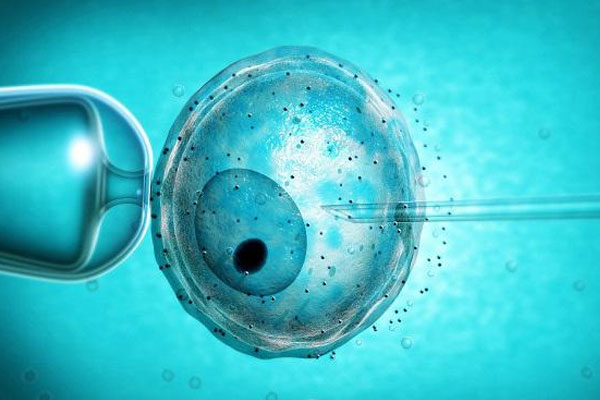 男性做试管婴儿的时候通过什么技术提升精子的质量