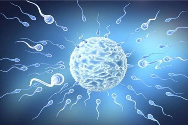 死精是导致男性不育的常见原因之一，精子胶冻状是死精吗？