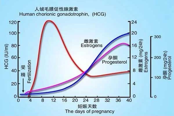 妊娠期HCG值变化示意图