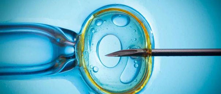 试管婴儿移植更多的胚胎，成功率就更高吗？(图1)