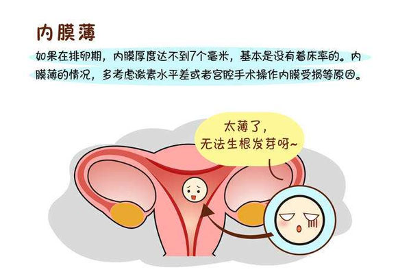 子宫内膜薄会影响怀孕吗？子宫内膜薄的原因如(图1)
