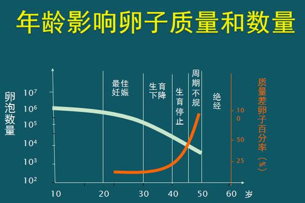 帕亚泰试管成功因素有那些