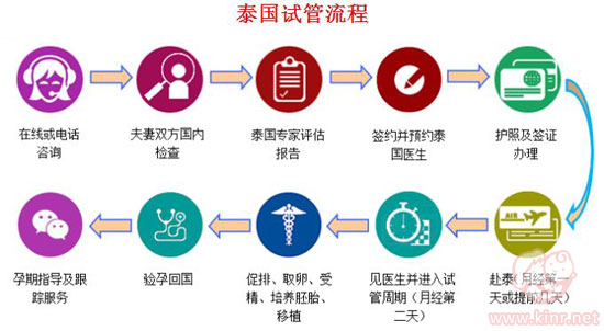 泰国试管婴儿流程图