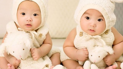 泰国试管婴儿双胞胎，你想知道的答案都在这！