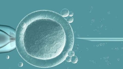 做试管婴儿胚胎移植后的注意事项总结