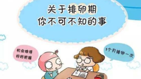 吃什么能促进排卵?分享给大家80%女性都不知道的