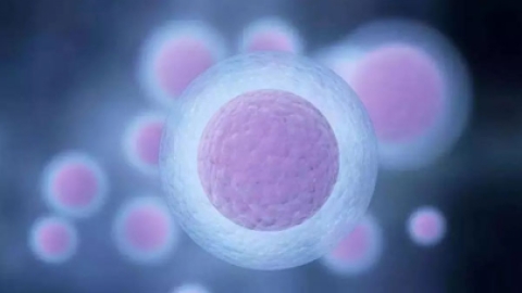 影响胚胎质量原因有哪些？