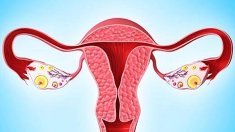 输卵管堵塞做试管婴儿的话可以怀孕吗？