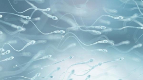男性做试管婴儿的时候通过什么技术提升精子的质量