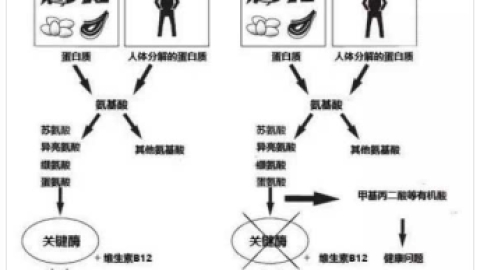 带你认识什么是甲基丙二酸血症