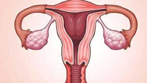 卵巢发育不全能做试管婴儿吗？