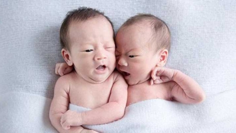 泰国婴儿试管移植两个胚胎就能生双胞胎吗？