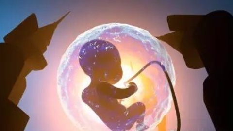 怀孕33周到36周，胎儿发育成什么样呢？看看你家胎宝宝发育达标吗！