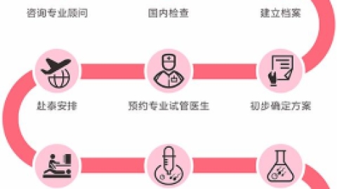 2021泰国试管婴儿新攻略