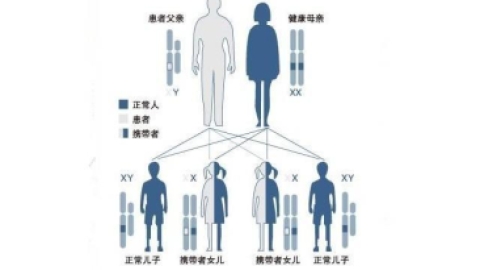 有遗传疾病的人可以借助试管婴儿技术传宗接代吗?