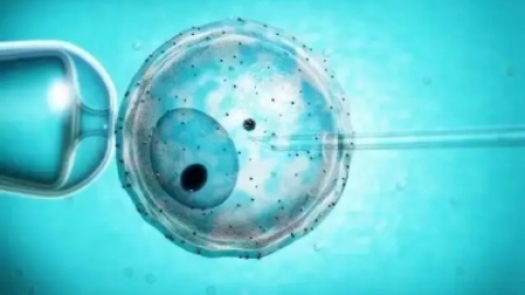 第三代试管受精的出现,遗传疾病可以在生命开始前预防