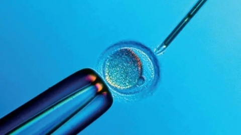 试管受精移植后成功率高的临床经验分享