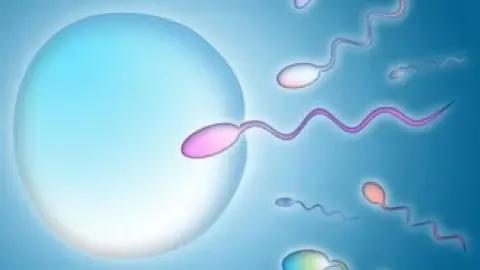 少精子症可以试管婴儿助孕吗？
